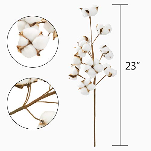 JOYPEA Cotton Stems - 6 Pack 10 Balls Per Stem - 23 Inch Farmhouse Display Filler-Foral Decoration