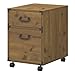 Bush Furniture Ironworks 2 Drawer Mobile File Cabinet, Vintage Golden Pine
