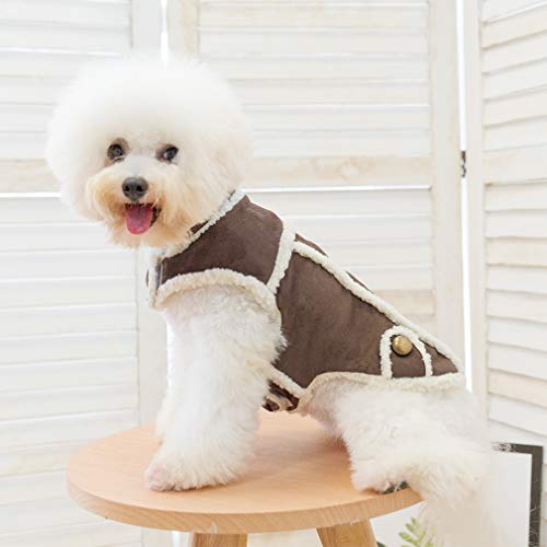 BINGPET Dog Winter Coat Cold Weather Dog Clothes, Windproof Fall