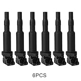 Ignition Coil Pack Set of 6 Replaces OE# 0221504470 for BMW 325i 325Ci 328i 330Ci 335i 525i 528i 530i 535i 545i 745Li X3 X5 M5 M6 Z4 128i 135i And More