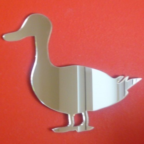 Quack Quack Standing Duck Mirror 40cm x 35cm
