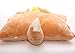 Sinker®Pokemon Pikachu Plush Pillow Toys Doll Cute Eevee Pillow