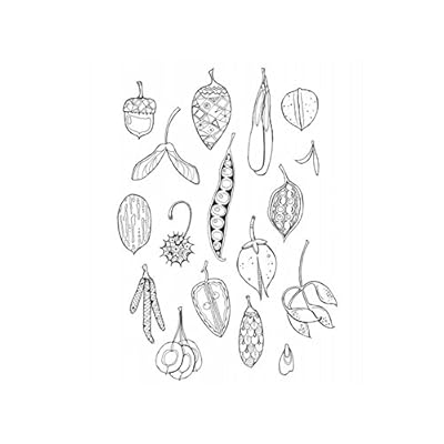 Buy Color Frame 3 Books In 1 Country Forest City Adult Coloring Book Spiral Bound March 31 16 Online In Turkey