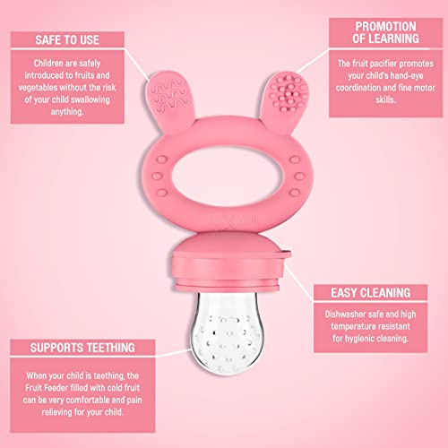 Luxior Fruit Feeder Baby Set Raspberry/Fruit Feeder for Baby + 3