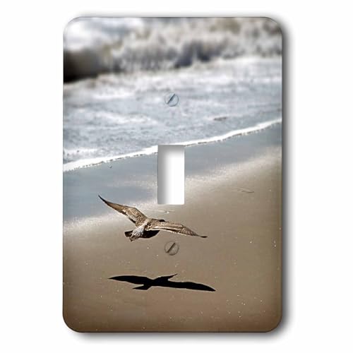 3dRose lsp_157573_1 Seagull Gliding At The Beach Bird, Animal, Water, Ocean, Flying, Shore, Wildlife, Nature, Coast Single Toggle Switch at Amazon