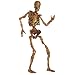 Beistle 00130 Jointed Skeleton, 6' (Paper Cutout)