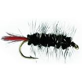 Jackson Cardinal Flies Black Wooly Worm
