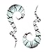 BodyJ4You 2PC Glass Ear Tapers Plugs 0G Black Helix Design Spiral Gauges Piercing Jewelry