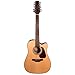Takamine GD15CE-12 NAT-KIT-1 12-String Acoustic-Electric Guitar