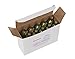 RedRock 16 Gram CO2 Gallo Gun Cartridges - 10 Pack