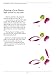 The Beginner's Guide to Chinese Painting: Flowers