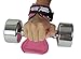 Cobra Grips PRO Weight Lifting Gloves Heavy Duty Straps Alternative to Power Lifting Hooks for Deadlifts with Built in Adjustable Neoprene Padded Wrist Wrap Support Bodybuilding (FIT Pink Rubber)