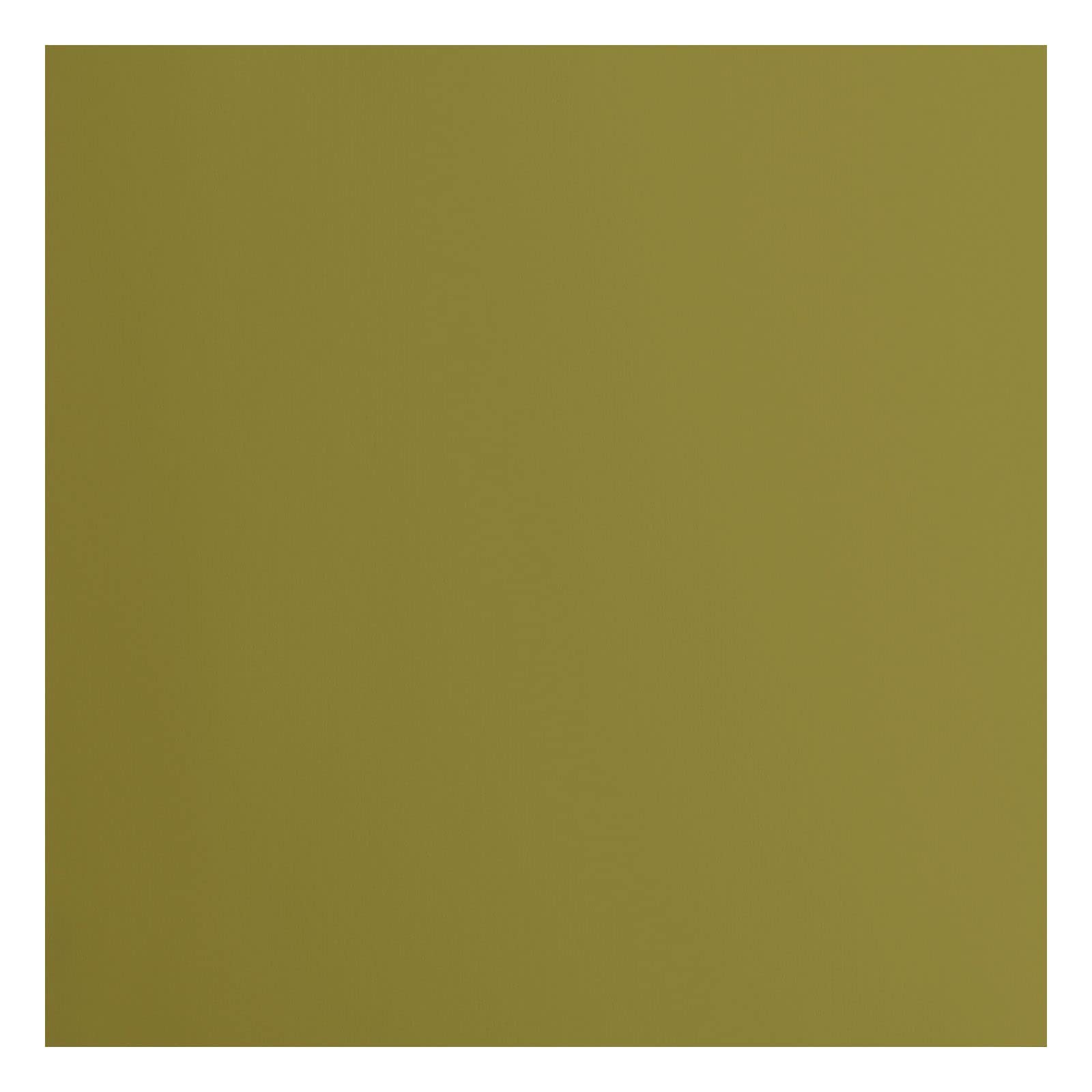 Florence Cardstock Smooth - Coloured Card Making Supplies 12 x 12 inch - Green - 20 Sheets - Coloured Paper for Scrapbooking, Card Making, Die Cutting and Paper Crafts - 216 GSM - Acacia