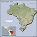 Brazil Green Unroasted Coffee Beans 2 Pounds