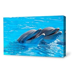Canvas Wall Art Lovely Dolphin Canvas Prints Home Artwork Decoration for Living Room,Bedroom - 12x18 inches