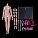 Flameer 1:6th Super-Flexible Female Stainless Steel Body with Hands Feet for Phicen Figure Doll Toy Wheat Skin