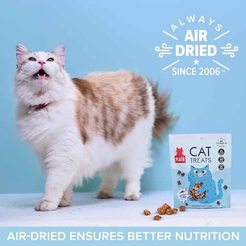 PLATO PET TREATS CAT TREATS – SINGLE INGREDIENT, HEALTHY SALMON TREATS FOR INDOOR CATS – 2.5 OZ
