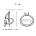 Metal Male Chastity Device Steel Stainless Briefs Cage Ring Cock cage Siliver (1.77 inch/45mm)