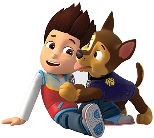 ryder paw patrol amazon