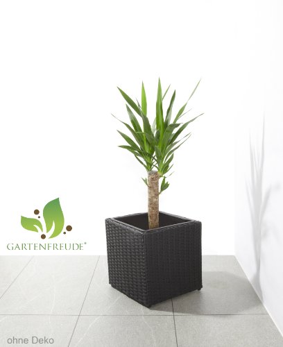GARTENFREUDE Pflanzkübel Pflanzgefäße Blumenkübel Blumentopf für Blumen etc. Polyrattan 28 x 28 x 28 cm, inkl. wasserdichtem Kunststoffeinsatz, wetterfest, schwarz im eleganten 4-Faser Design – Bild 3