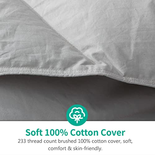 APSMILE Grey Feathers Down Comforter Queen Size, All Seasons Feathers