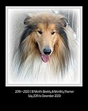 2019 - 2020 | 18 Month Weekly & Monthly Planner July 2019 to December 2020: Rough Collie Dog Breed V by Dazzle Book Press
