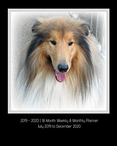 2019 - 2020 | 18 Month Weekly & Monthly Planner July 2019 to December 2020: Rough Collie Dog Breed V by Dazzle Book Press