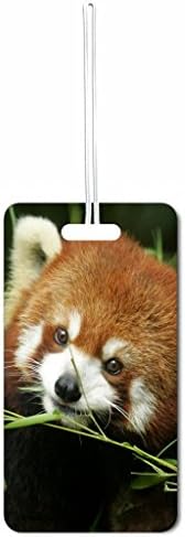 Baby Red Panda Max Wilder TM Set of 2 Luggage Tags with Customizable Back