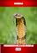 Livro Cobras