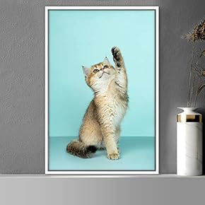signwin Framed Canvas Wall Art Cat Animals Cat...