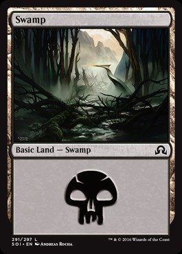 Magic: the Gathering - Swamp (291) (291/297) - Shadows Over Innistrad - Foil