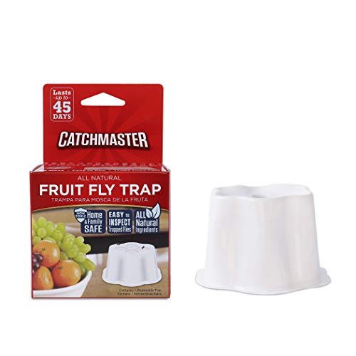 Catchmaster All Natural Fruit Fly Trap - Great for Use in The Kitchen - Pack of 2 Traps