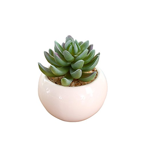 HIFUAR Realistic Artificial Green Succulent Plant Faux Potted Succulent for Home Indoor Decoration for Home(12x9cm)