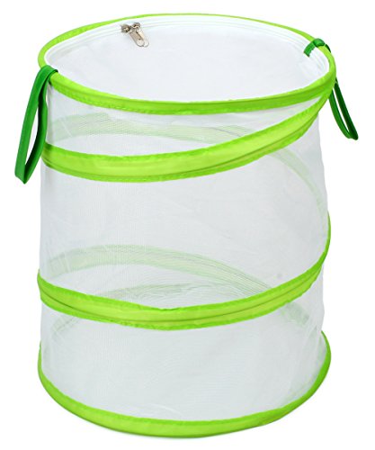 Restcloud Insect and Butterfly Habitat Cage Terrarium Pop-up 12" x 14" Tall