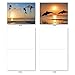 The Best Card Company - 10 Blank Animal Cards Boxed (4 x 5.12 Inch) - Assorted Pets, Zoo, Wildlife Cards for Kids - Sunset Dolphins M6460OCB-NB