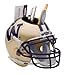 NCAA Washington Huskies Mini Helmet Desk Caddy