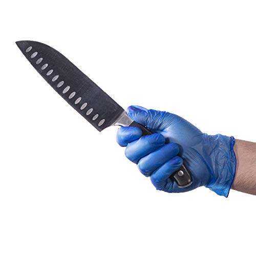 2 AMMEX+Blue+Vinyl+Disposable+Gloves