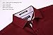 Alex Vando Mens Rayon Dress Shirts Wrinkle Free Regular Fit Stretch Button Down Shirt,Burgundy,M
