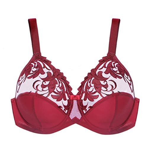 HSIA Minimizer Underwire Embroidery Lace Bra Women's Unlined Full Cup