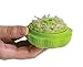 Koopeh Designs Chop garlic chopper, 1, Lime Green