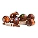 Wooden lacing toy Acorns, Educational toy, Learning Toy, Toddler toy, Toddler birthday gift, Motor skills toy, wooden toy