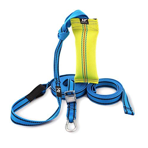 pitbull exercise toys