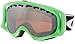 Oakley Crowbar Snow Goggle