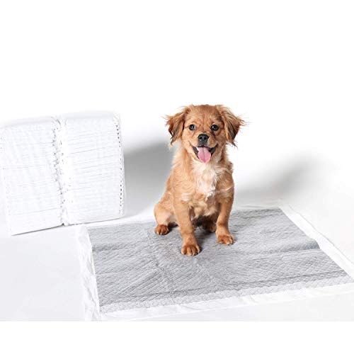 bamboo training pads