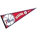 WinCraft Philadelphia 76ers Pennant Full Size 12 in X 30 in