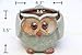 UName Micro Landscape Succulent Plants Creative Flower Planters, Mini Plants Pot, Ceramics Decoration, Handmade, Small Plant Containers, Owl Design Succulent Planter. Green.(circle eye owl)UN235