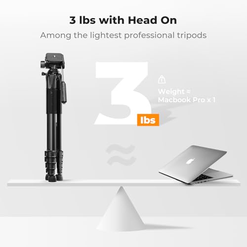 K&F CONCEPT 75" Lightweight Tripod, Camera Compact Tripod with Remote and 2-in-1 Phone Holder,Travel Phone Tripod with Removable 3-Way Pan Head for Selfie/Video Recording/Photo/Live Stream/Vlog