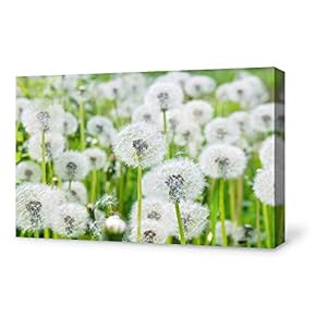 Canvas Wall Art for Living Room,Bedroom Home Artwork Paintings Dandelion Ready to Hang - 12x18 inches