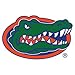 Simple Modern University of Florida 30oz Cruiser Tumbler - Vacuum Insulated Stainless Steel Travel Mug - UF Go Gators Tailgating Hydro Cup College Flask