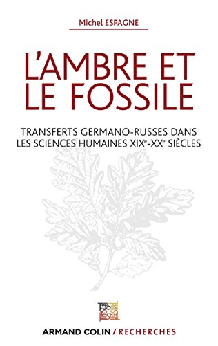 L' ambre et le fossile